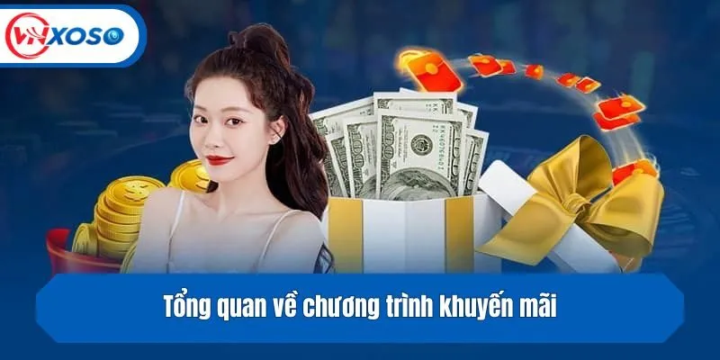 Tổng quan về chương trình khuyến mãi